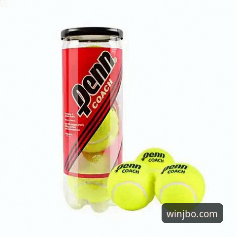 jbo竞博体育使用全攻略：从下载到评价的详细说明